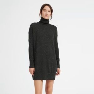 Everlane Cashmere Turtleneck Mini Dress